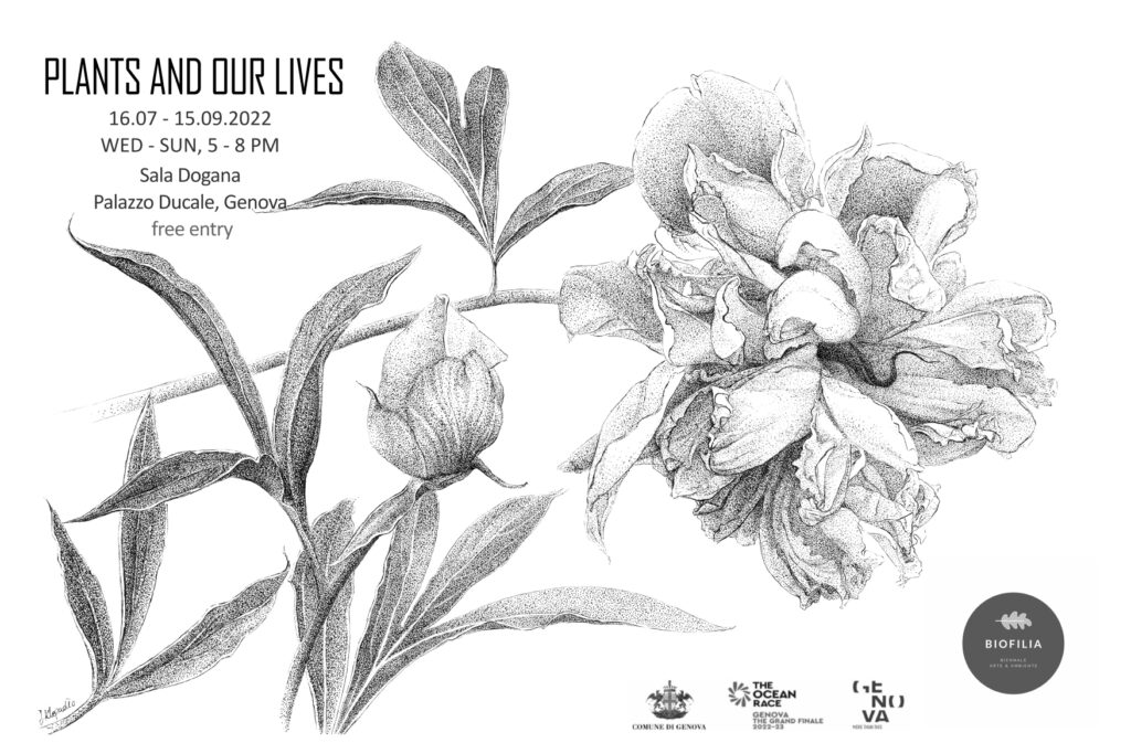 Plants and our lives - drawing exhibition in Sala Dogana, Palazzo Ducale, Genova, Italy, as part of Biofilia arte e ambiente