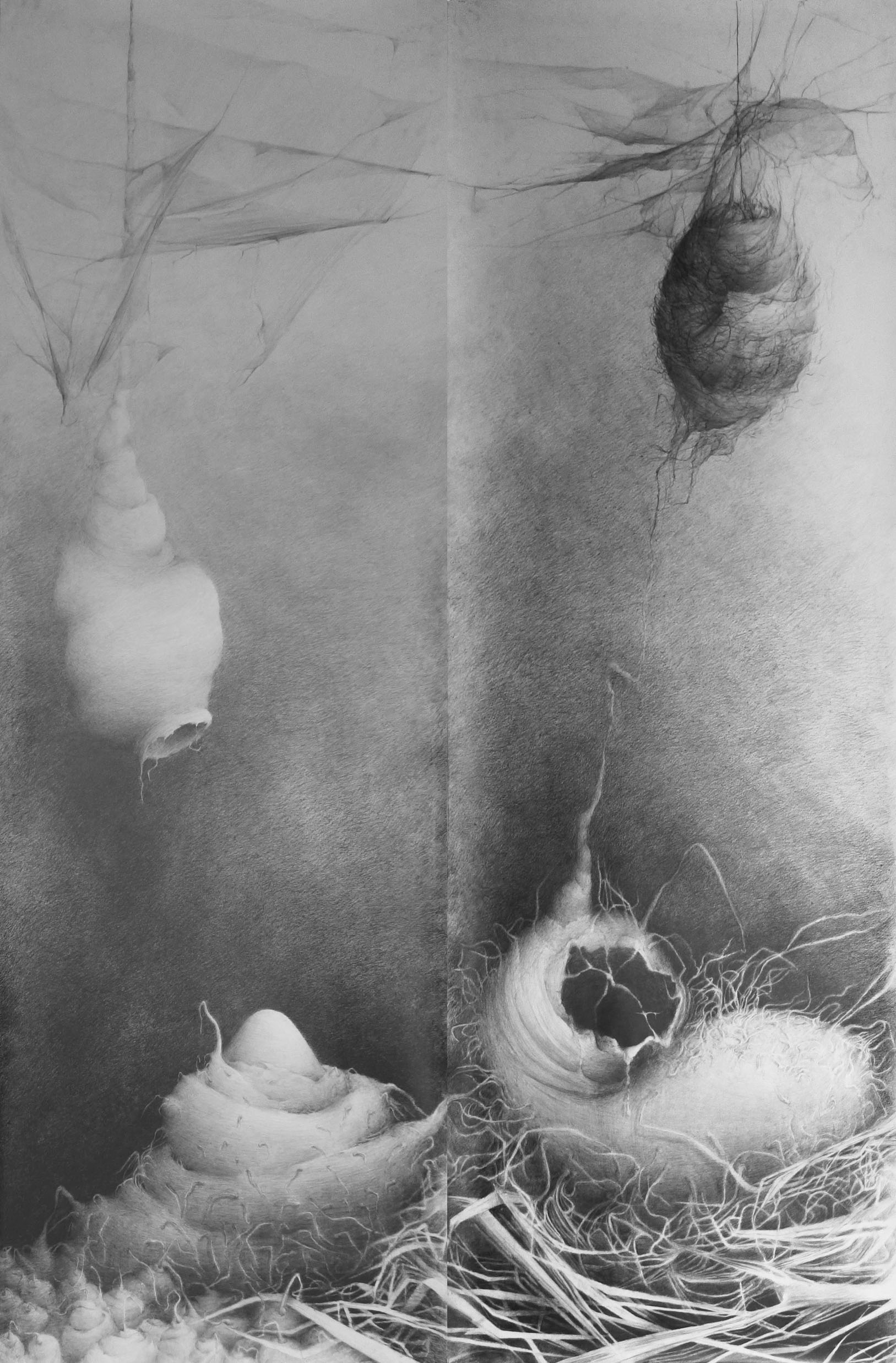 Links- pencil drawing about connections, depicting cocoons, by Joanna Klepadlo