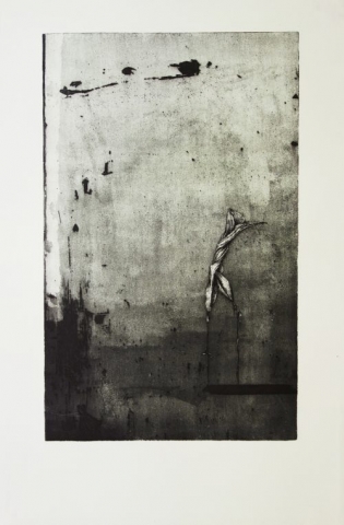 Go in - plants expressing human experiences and emotions, etching and aquatint print