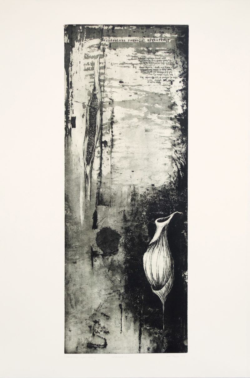 Growth environment - botanical intaglio print depicting carnivore plants with captions