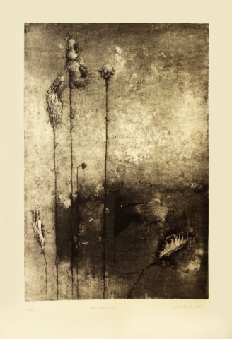 Herbarium-botanical intaglio printmaking, plants expressing human experiences and emotions, sepia