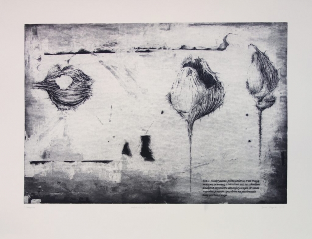 Nibbled-botanical picture with captions, plants expressing human experiences and emotions, etching and aquatint print