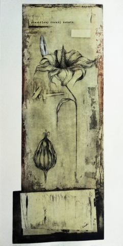 Regular growth-plants expressing human experiences and emotions, etching and aquatint print