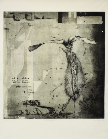 The deepest- intaglio printmaking depicting plant expressing human experiences and emotions, etching and aquatint print by Joanna Klepadło